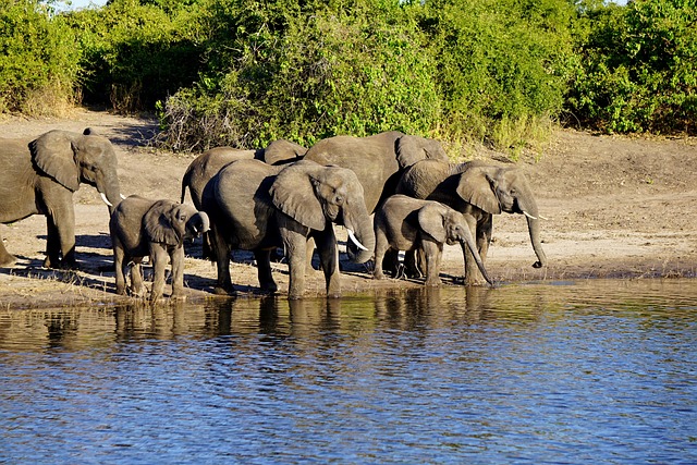Welcome to botswana